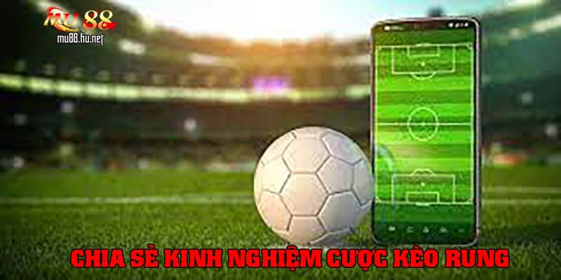 Chia sẻ kinh nghiệm cược kèo rung