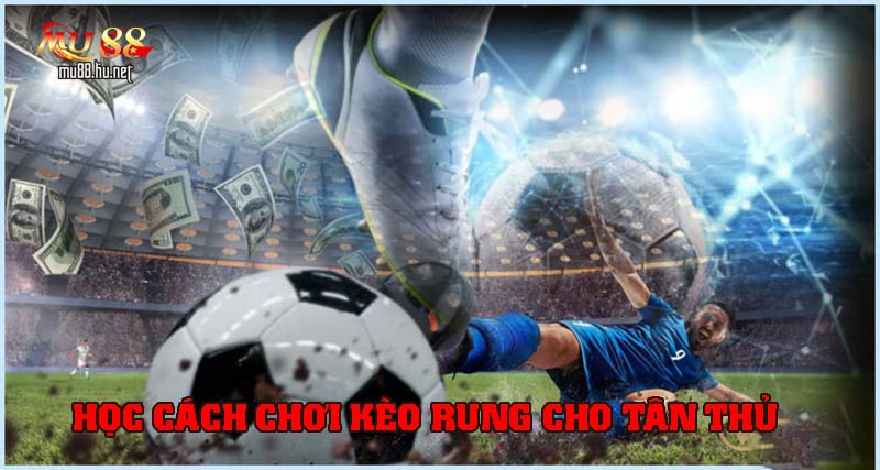 Học cách chơi kèo rung đơn giản cho tân thủ