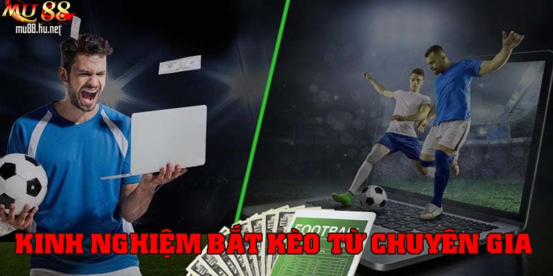 Bắt kèo bằng kinh nghiệm từ chuyên gia