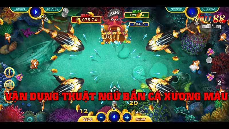 Vận dụng thêm kinh nghiệm săn cá siêu chuẩn