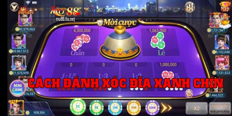 Xóc đĩa xanh chín